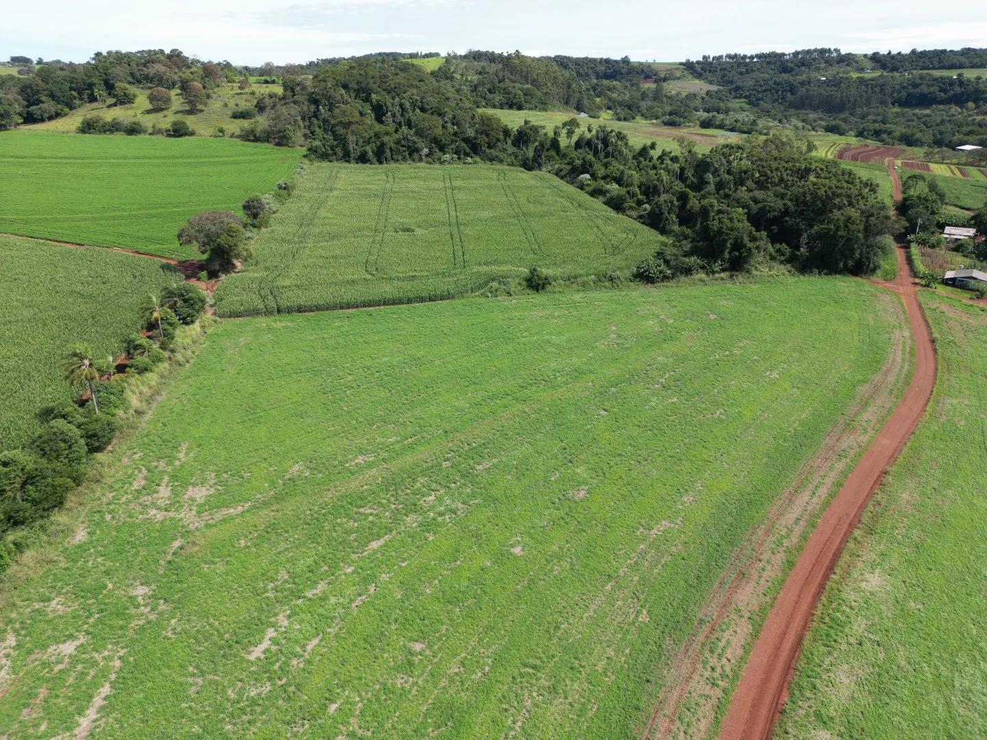 Imagem Chacara a venda em Rio do Salto Cascavel