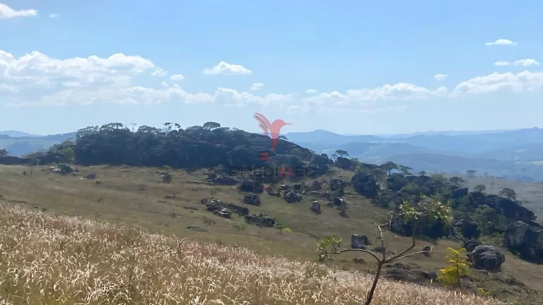 Imagem Área Para Exploração de Quartzo
