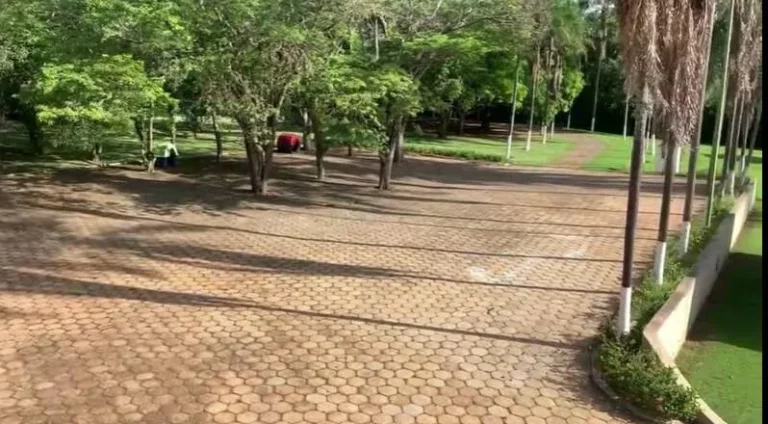 Imagem Sítio formado com 4 alqueires