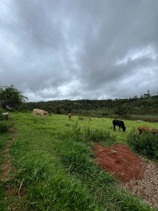 Imagem SÍTIO À VENDA EM ITATIAIUÇU/MG - Área total de 40.000 m² (4 hectares) .