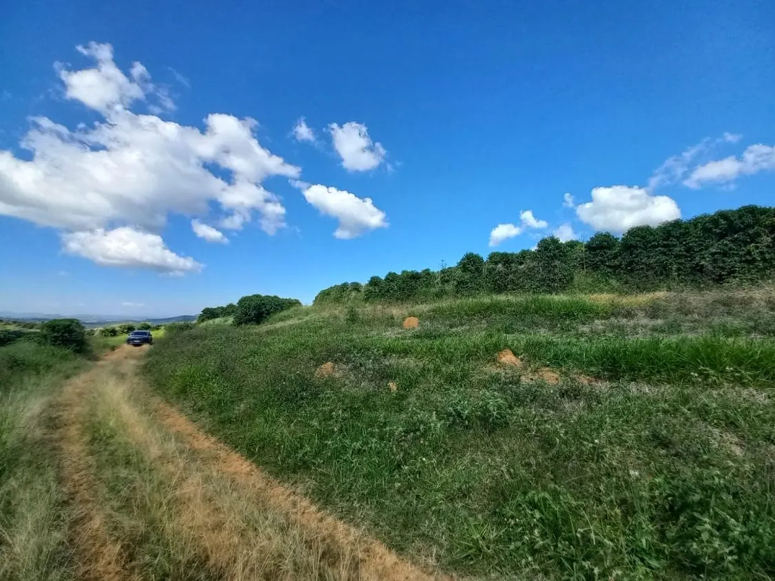 Imagem FAZENDA À VENDA - SANTO ANTÔNIO DO AMPARO (MG) 948 hectares de área total