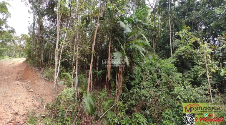 Imagem Terreno para sítio a venda, em Major Gercino, 900Metro da SC 108, 200Metros de estrada de barro. Terraplanagem pronta para construir