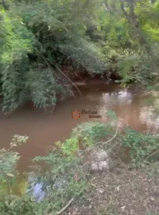 Imagem Chácara com 2 dormitórios à venda, 5000 m² por R$ 580.000,00 - Salto Do Meio - Extrema/MG