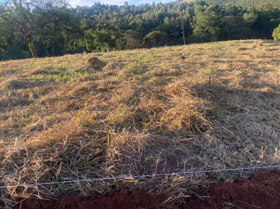 Terreno à Venda, 1.000 m² em vicente nunes  - Nazaré Paulista