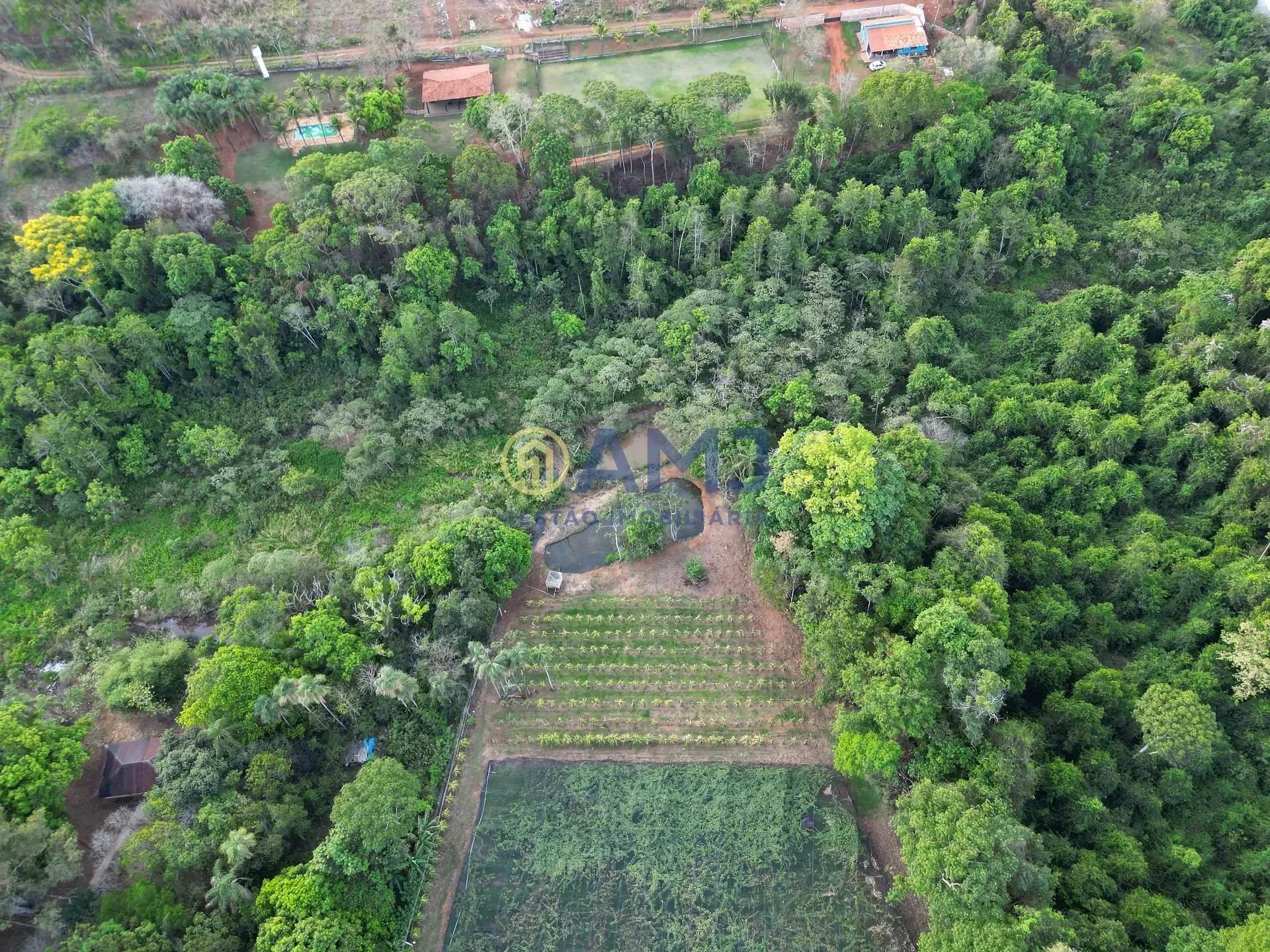 Imagem DUAS CHÁCARAS VIZINHAS À VENDA | HIDROLÂNDIA/GO