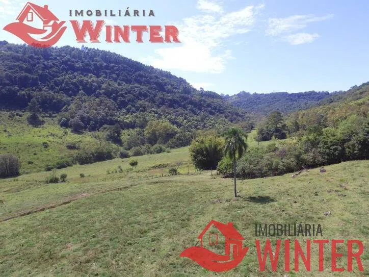 Imagem Fazenda de 61 hectares na cidade de Linha Nova.