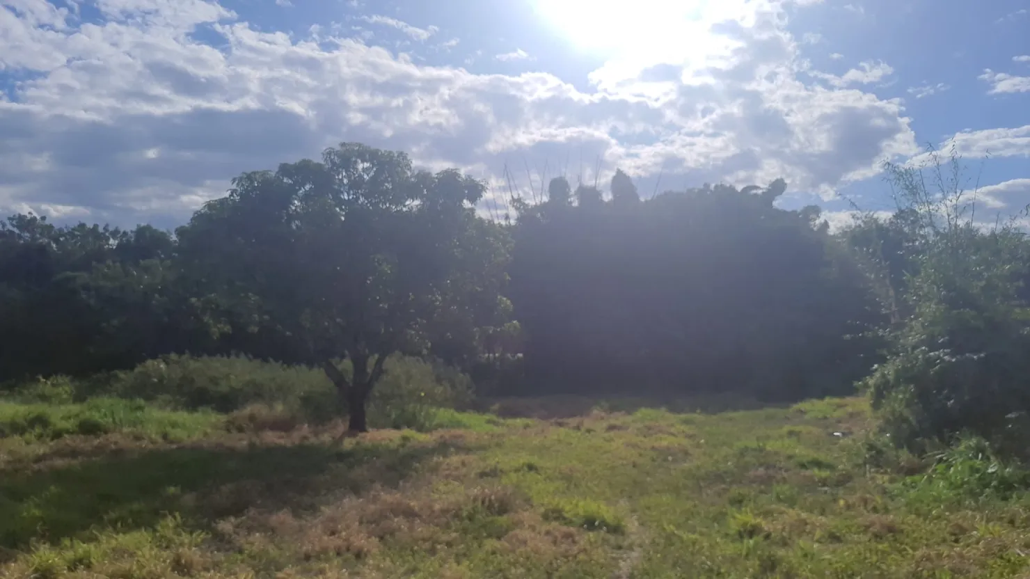 Imagem Terreno à venda 8500M², Jardim Mourisco, Taubaté - SP