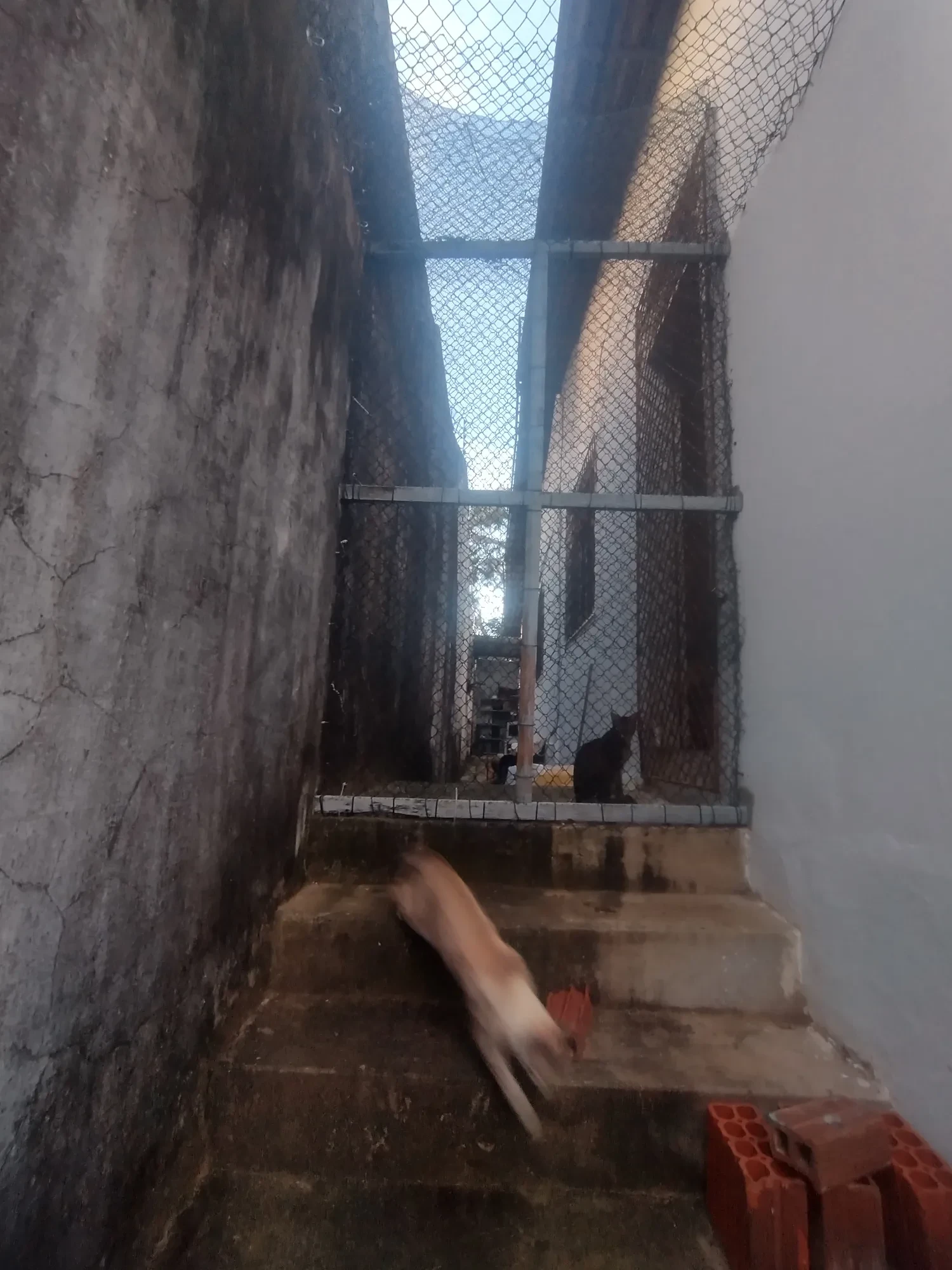 Imagem Casa com 2 Quartos à Venda, 175 metros em Ponta Negra - Natal