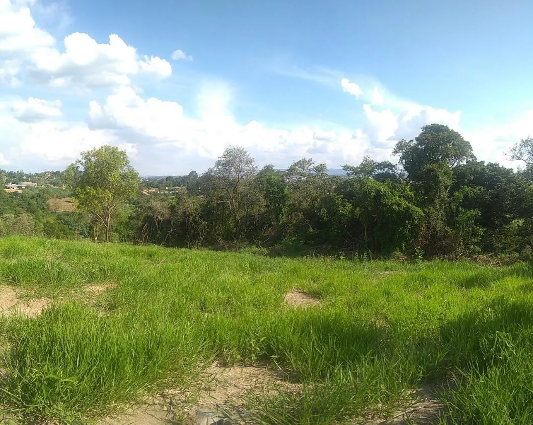 Imagem Excelente Lote Residencial em Vinhedo