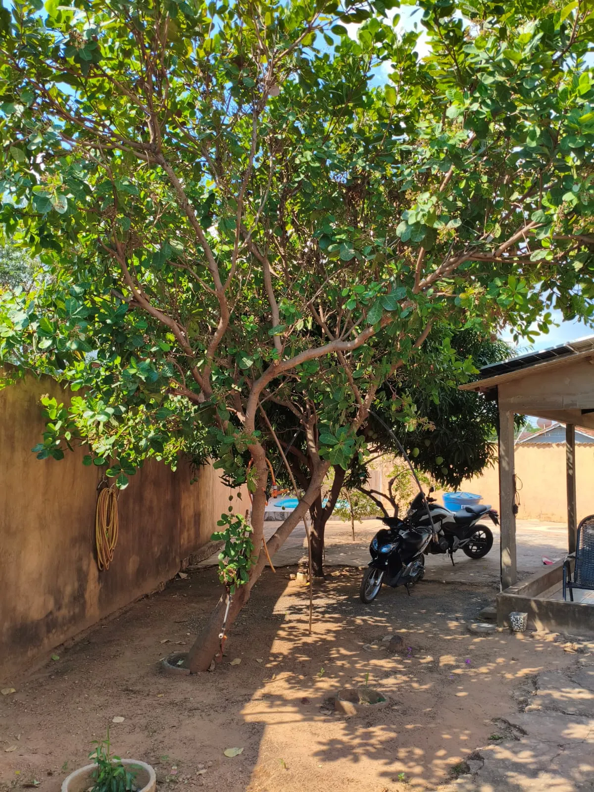 Imagem Casa 2 quartos residência Nova canaã