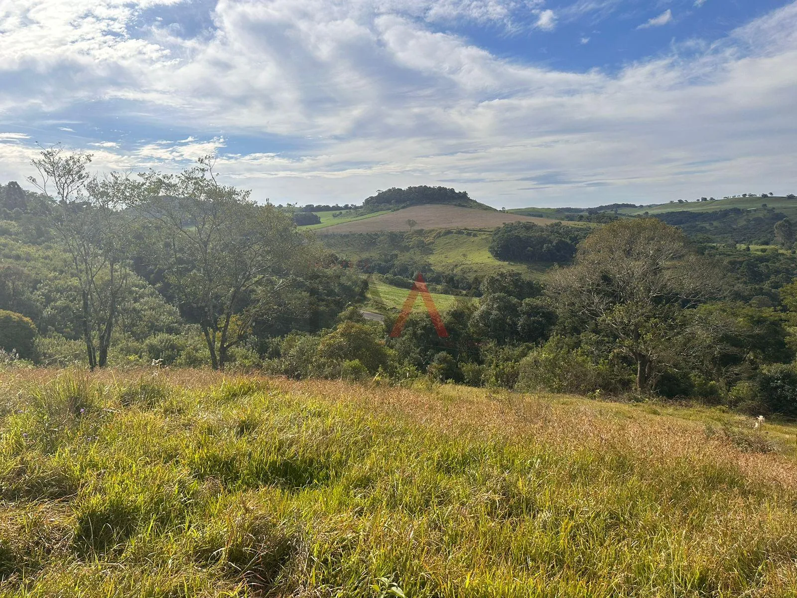 Imagem Ótima Chácara a venda 10 alqueires a 6 Km da cidade de Cantagalo