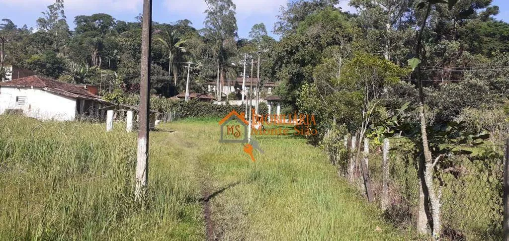 Imagem Sítio com 8 dormitórios à venda, 84000 m² por R$ 1.100.000,00 - Marmelo - Mairiporã/SP