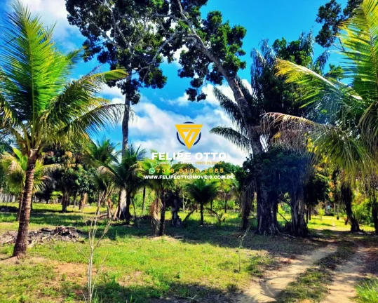 Imagem SITIO RESIDENCIAL em SANTA CRUZ CABRÁLIA - BA, yaya