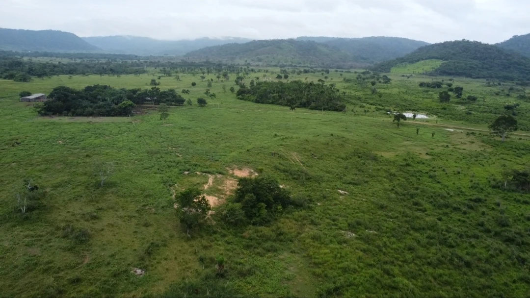 Imagem Fazenda à Venda, 90024 Alq. GO em São Félix do Xingu - São Félix do Xingu