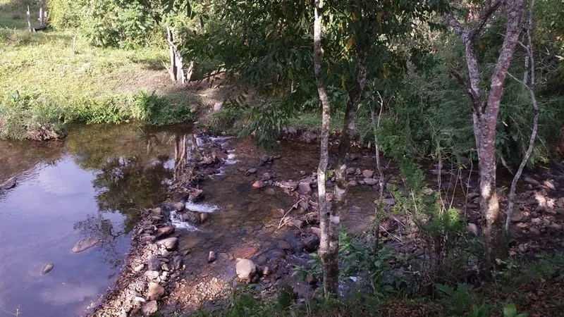 Imagem Chácara à venda 3 Quartos, 4 Vagas, 10000M², Ribeirão Grande, Pindamonhangaba - SP