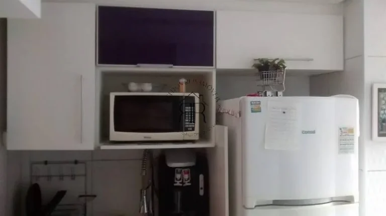 Imagem Apartamento - São Paulo - SP - Jardim Nelia IV