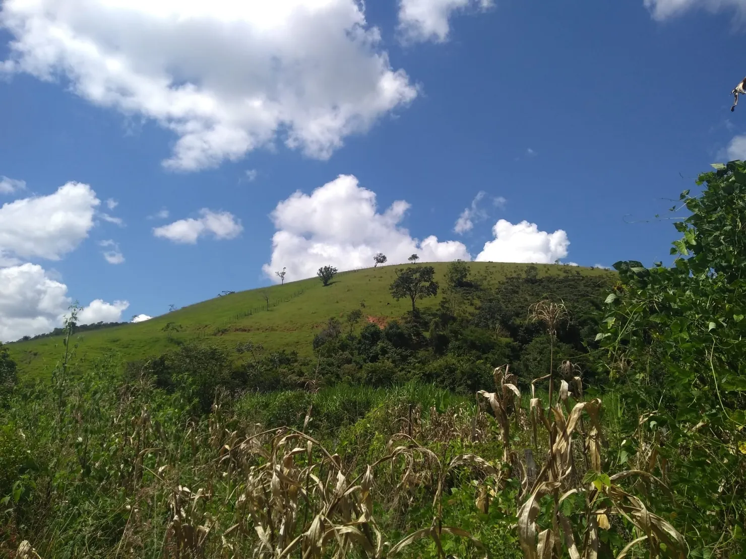 Imagem Chácara à venda 2 Quartos, 2 Vagas, 300000M², Água Preta, Pindamonhangaba - SP