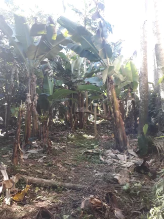 Imagem Casa a VENDA com Chácara de 849m², no Centro de SJBatista, a VENDA, Casa com chácara no centro de São João Batista. Ótima chácara no centro de SJBati