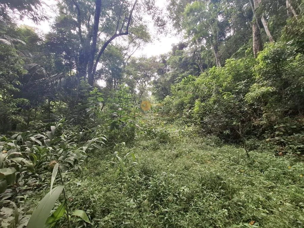Imagem Terreno para Venda em Teresópolis / RJ no bairro Albuquerque