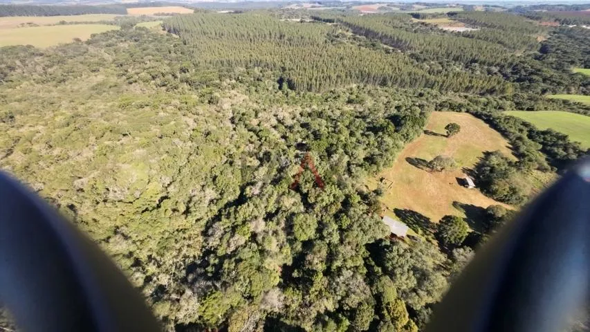 Imagem Sítio à venda com excelentes 24,62ha de área em Guarpuava PR
