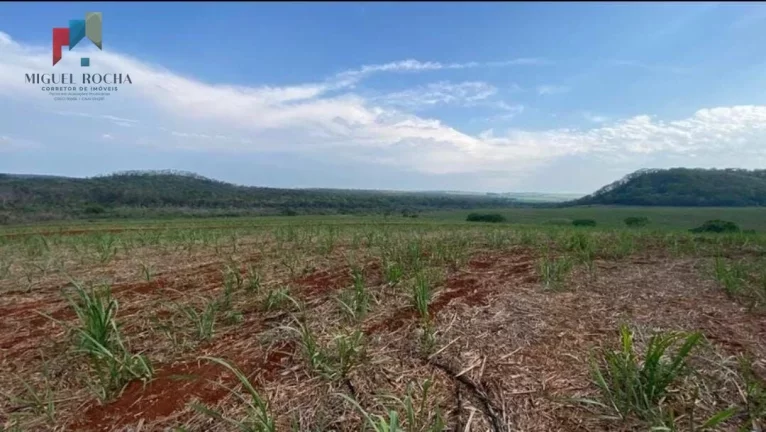 Imagem Fazenda a venda São Carlos SP