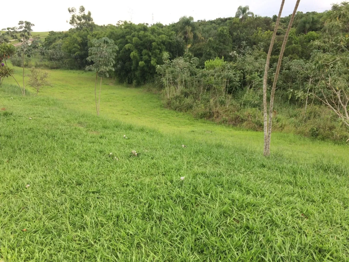 Imagem Terreno à venda 2025.25M², Chácaras Cataguá, Taubaté - SP | Condomínio Sao Felix do Cataguá