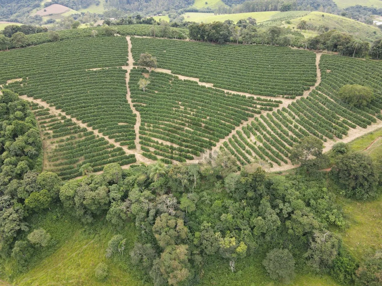 Imagem Fazenda 48 m² à venda em Roseira, Bandeira do Sul