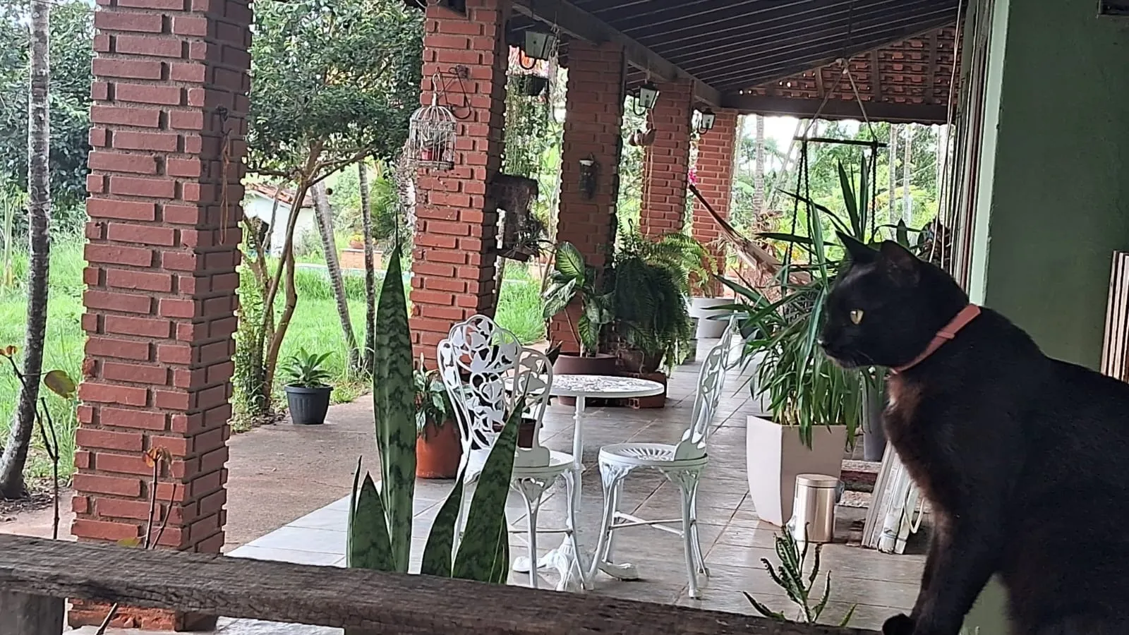 Imagem Chácara Dona Terra em Porangaba/SP ? Imóvel com Área Gourmet, Piscina e Pasto