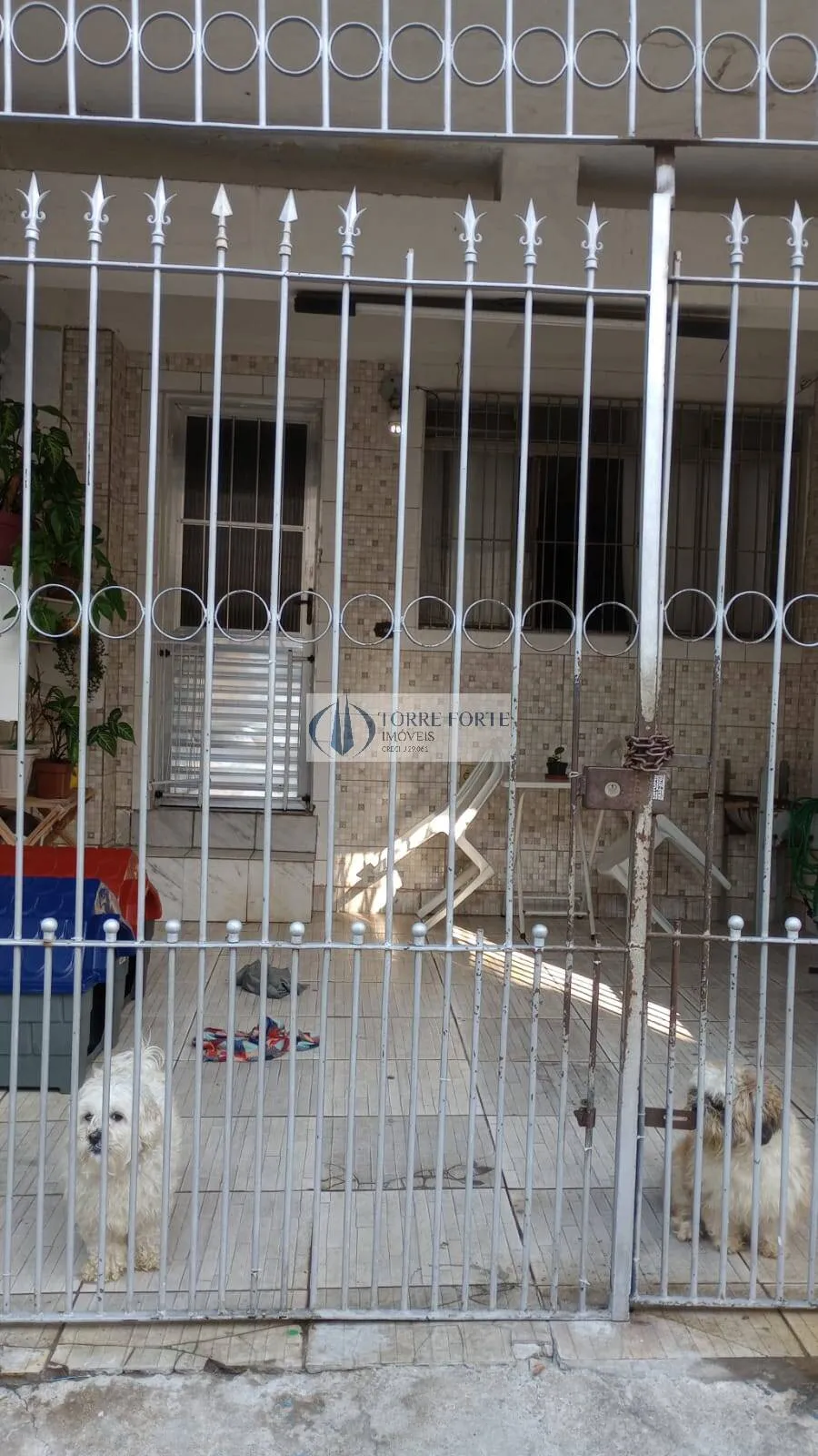 Imagem Terreno com 5 casa otimo para investidor Jardim Vila Formosa