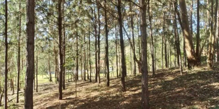 Imagem Chácara com 9 Quartos à Venda, 121 m² em Centro - Santa Isabel