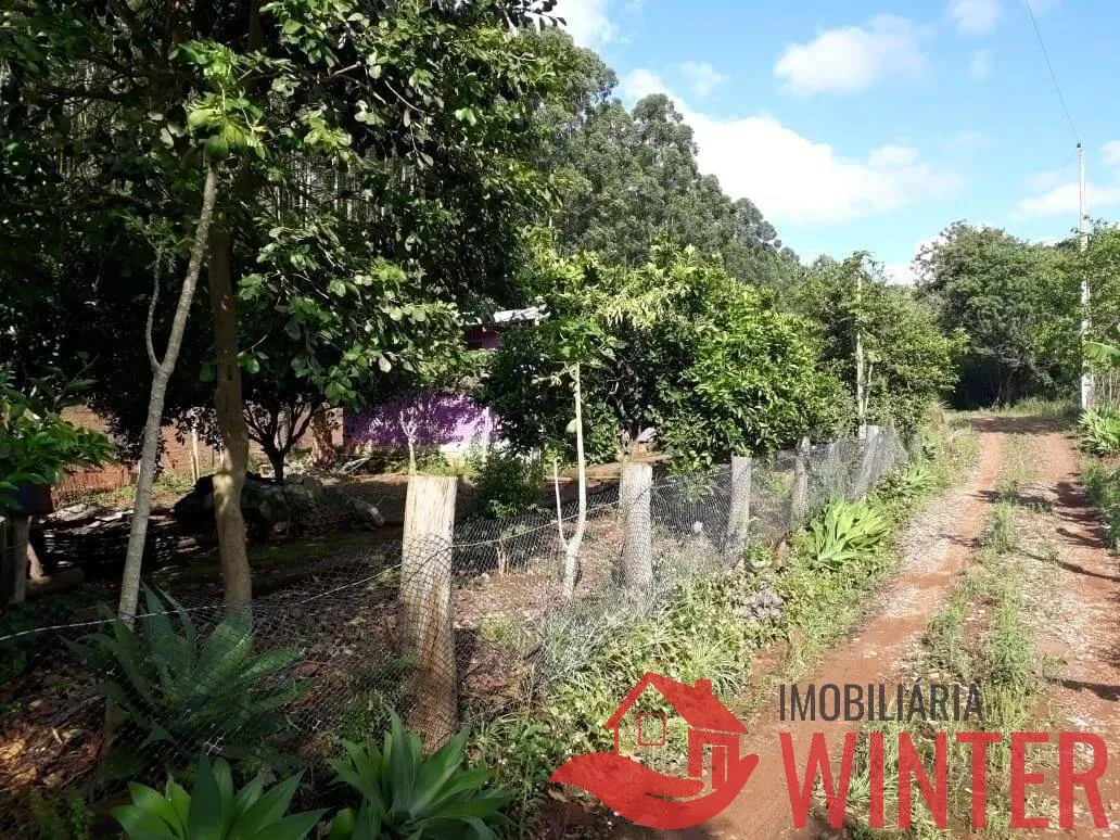 Imagem Chácara com 2 hectares bairro Matiel, Feliz.