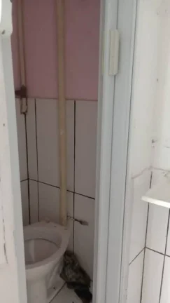 Imagem Este imóvel pode ser a escolha certa