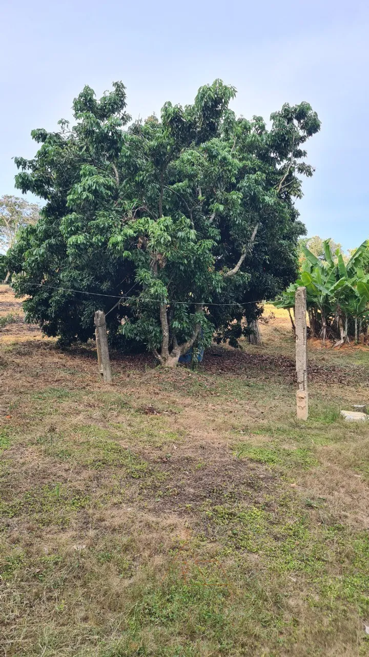 Imagem Chacara à venda em Cesário Lange-SP, bairro Guarapó, com 5.287,00 m² de área: sua oportunidade de investimento!