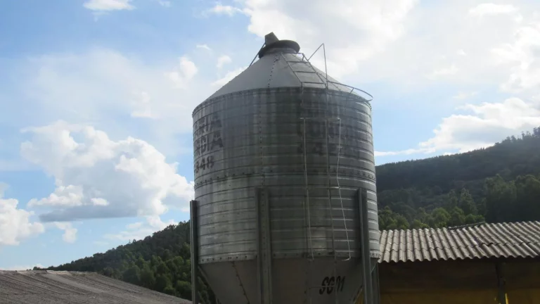 Imagem Granja para Venda em Irani, Rural
