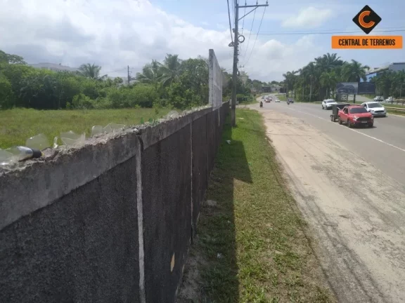 Imagem TERRENO EM ABRANTES