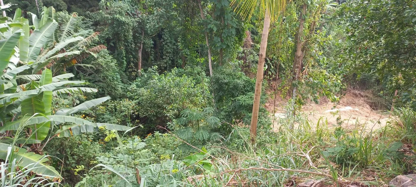 Imagem Terreno para Venda em São Sebastião, São Francisco da Praia