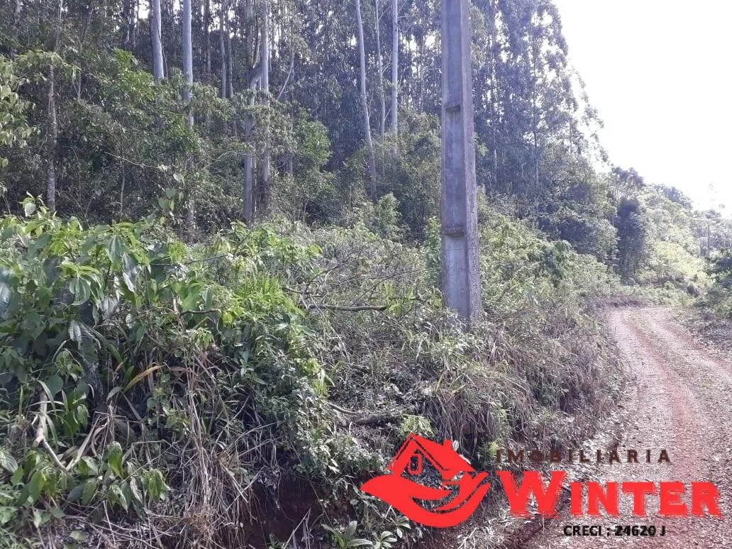 Imagem Área de terras com linda vista em Nova Caxias, Feliz