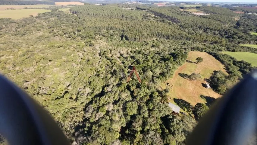 Imagem Sítio à venda com excelentes 24,62ha de área em Guarpuava PR