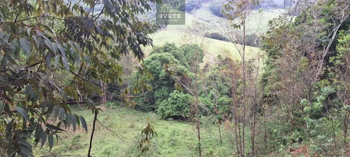 Imagem Ampla Área à Venda no Bairro da Lagoa - Socorro/SP