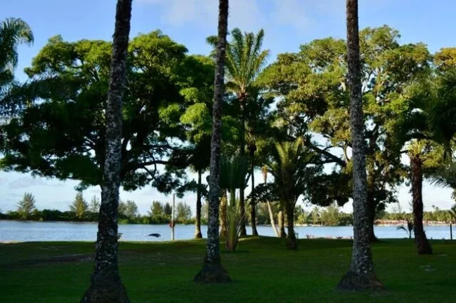 Imagem CASAS DO SOL