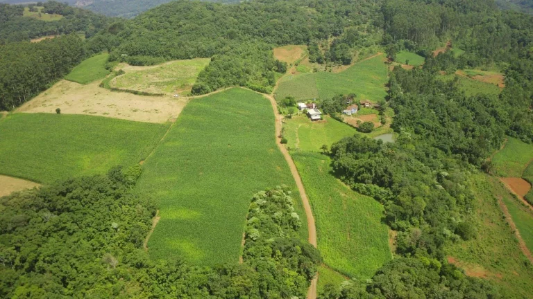 Imagem Área Agrícola para Venda em Concórdia, Rural