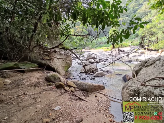 Imagem SÍTIO a VENDA, com 4.000m², com ESCRITURA, no bairro S. Valentim em Nova Trento. Com beira uma rio, de Nova Trento, podendo fazer trilha ecológica
