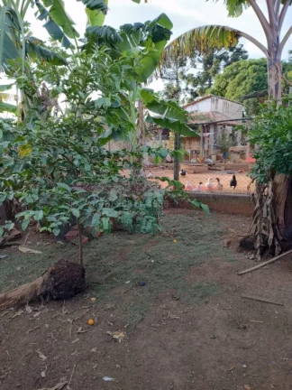 Imagem A Chácara tem 1000m2de terreno, casa com 3 dormitórios, sala ampla, cozinha, até gourmet e uma á...