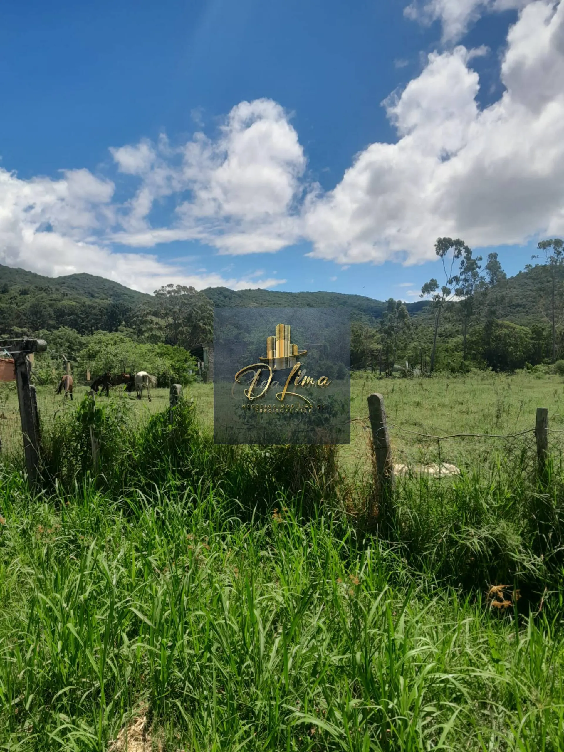 Imagem Vendo TERRENO RURAL no Bairro Ratones Florianópolis SC.