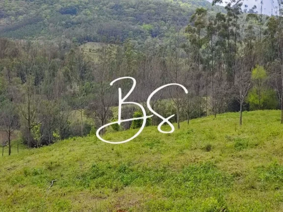 Imagem AREA RURAL em IGREJINHA - RS, Solitária