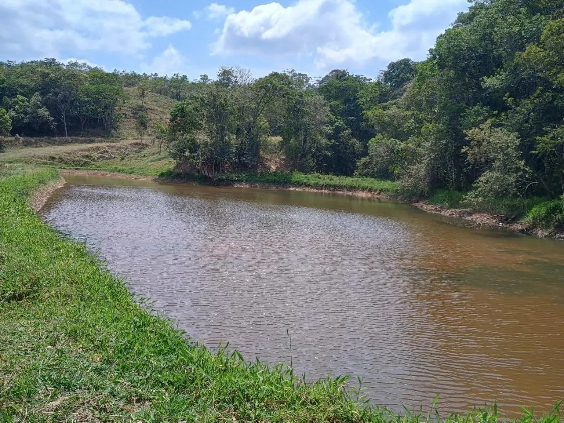 Imagem Sítio à venda em Itaguara/MG ,com 50.000 m² de terra