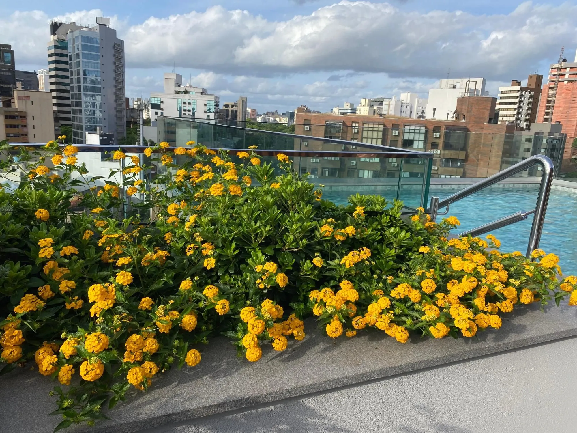 Imagem Apartamento em Bela Vista