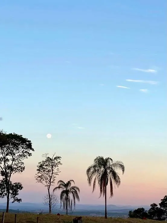 Imagem FAZENDA À VENDA | 53 HECTARES | SÃO JOSÉ DA VARGINHA/MG