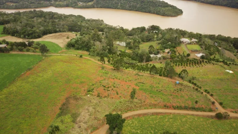 Imagem Área Agrícola para Venda em Concórdia, Rodovia