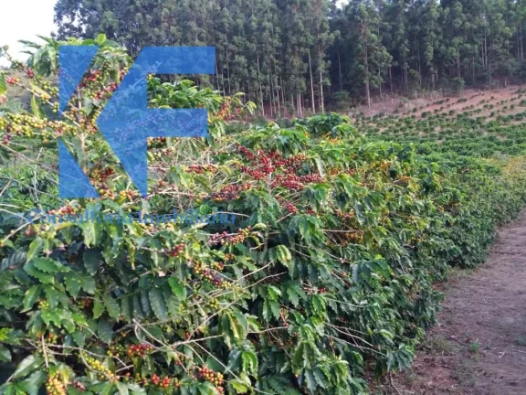 Imagem SITIO RURAL em CAPELINHA - MG, São Caetano do Lino